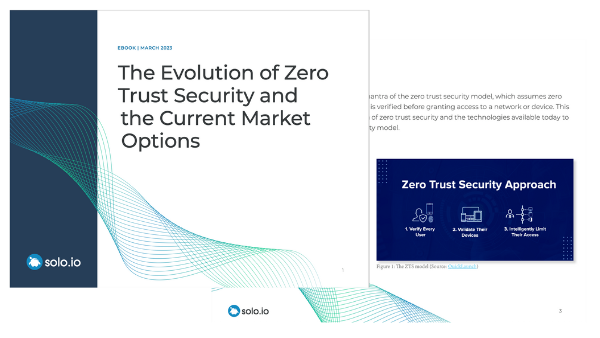 Zero trust security and current market options 