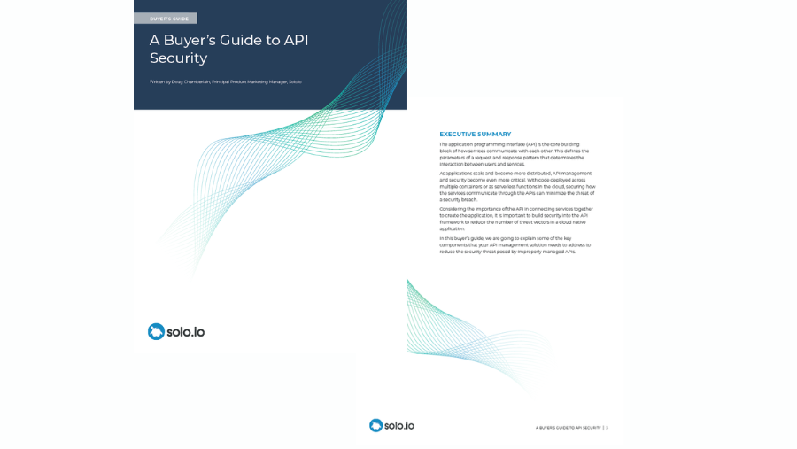 Buyers guide to api security