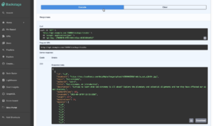 Screen shot showing API testing in swagger UI in Backstage