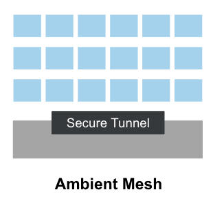 Ambient Mesh Secure Tunnel