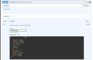 Screenshot of enhanced swagger API testing view